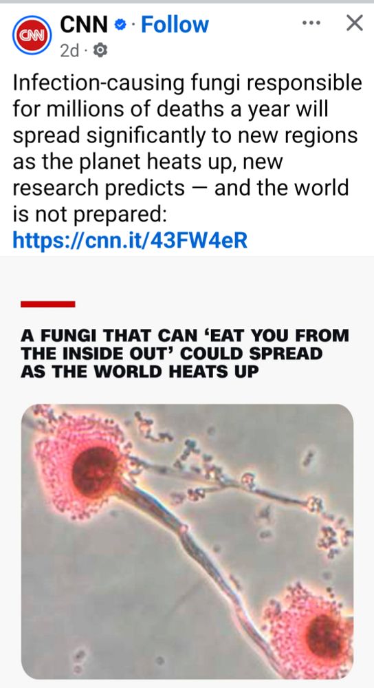 A news story about a fungi that can eat you inside out