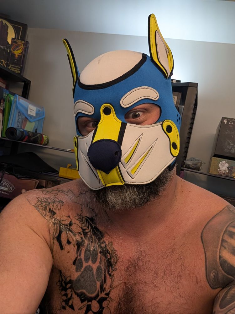 Man in dog hood, shirtless, with a tegederm covered tattoo. He is barely holding it together 