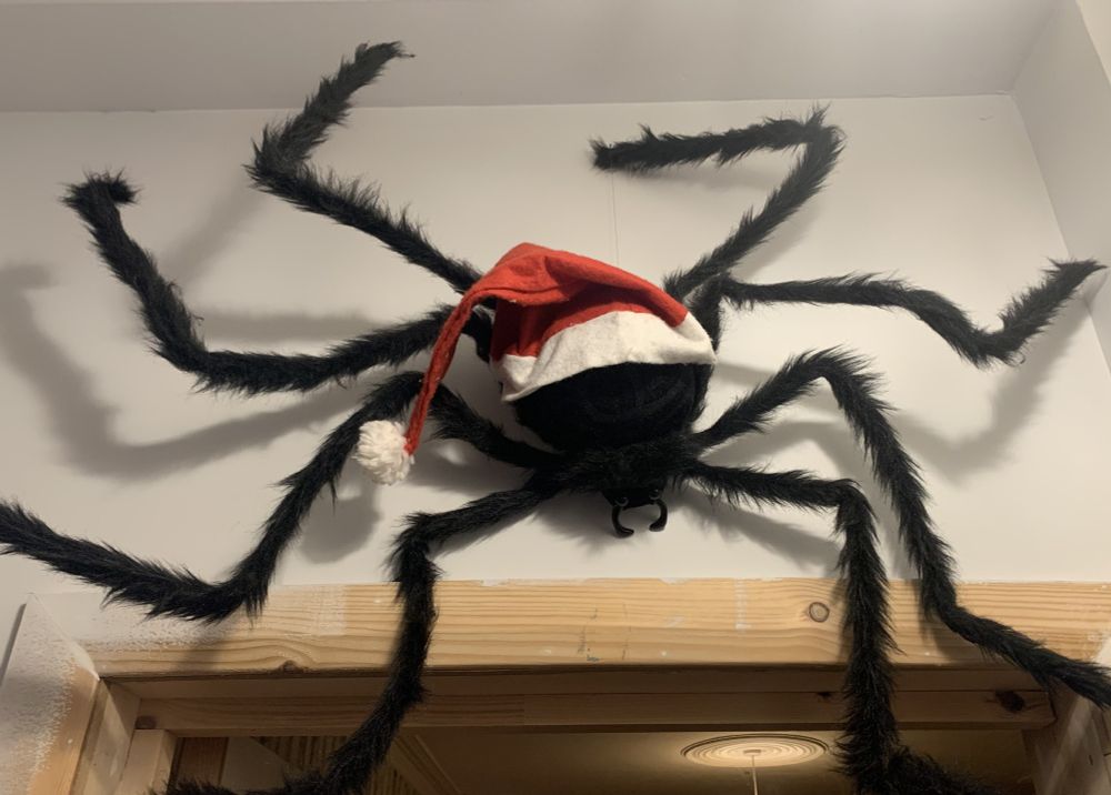 A giant spider in a Santa hat