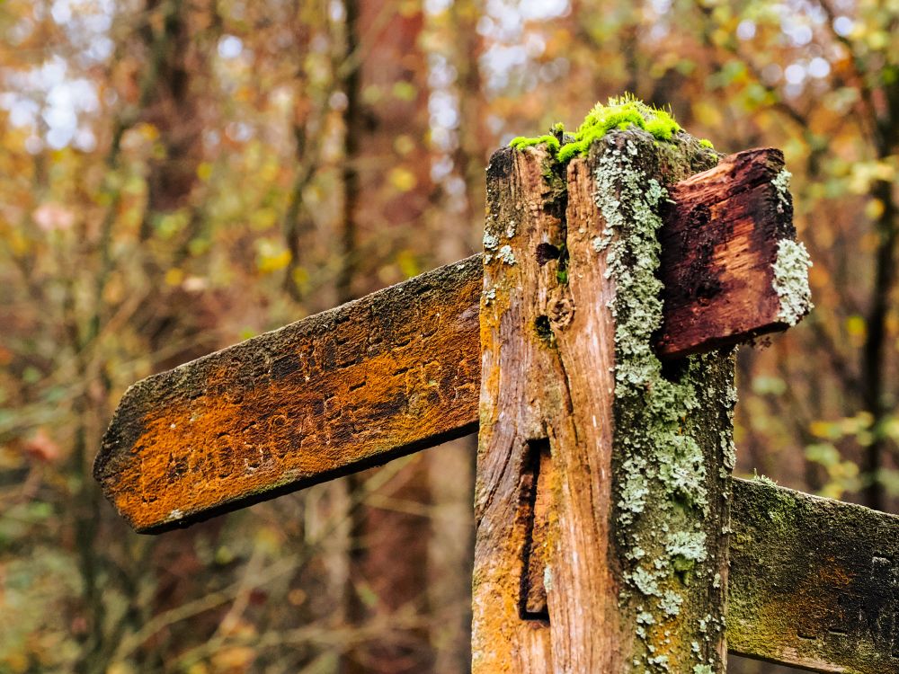 Mossy and decaying fingerpost. 
