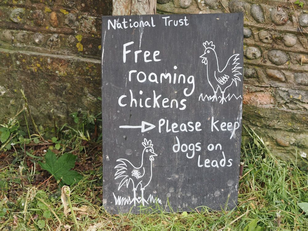 Sign: 'free roaming chickens. Please keep dogs on lead.' pictures of cockerels. 