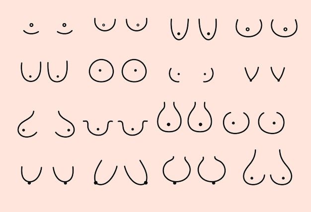 A hand drawn illustration of various breast shapes.