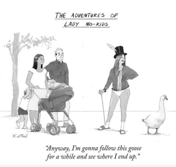 Cartoon panel of a woman, man, a child, and a baby in a stroller looking at another woman dressed in a top hat, shirt, underwear, sockets and sandals who is looking at a goose. The text reads “The adventures of Lady No-kids” at the top and below “Anyway, I’m gonna follow this goose for a while and see where I end up.” 