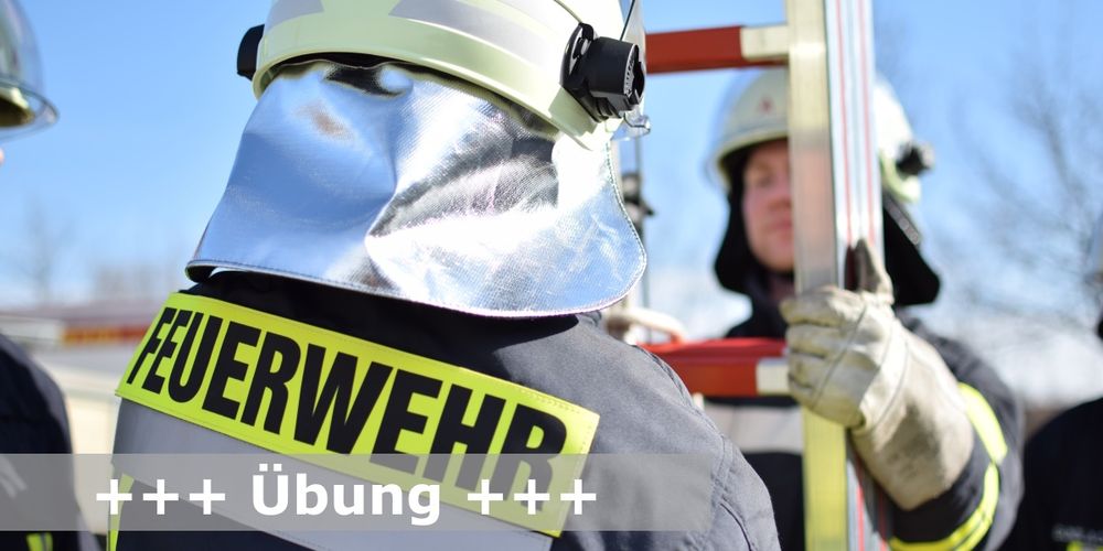 Symbolfoto. Zwei Feuerwehrleute an einer tragbaren Leiter.