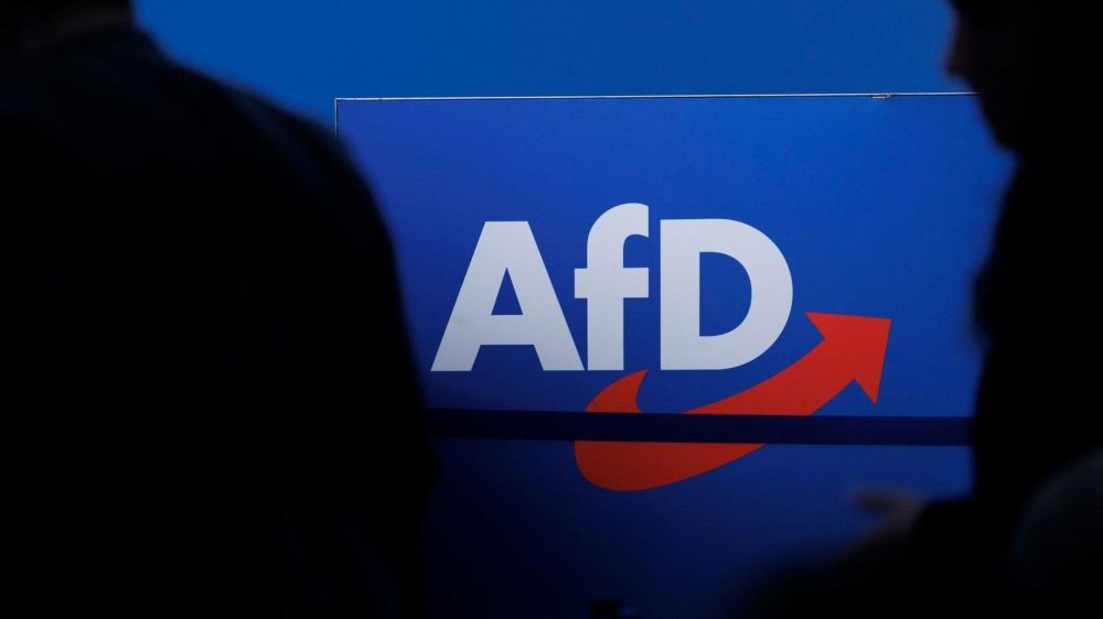 Neue Studie zu politischer Einstellung: Jeder dritte AfD-Wähler rechtfertigt Gewalt gegen Politiker