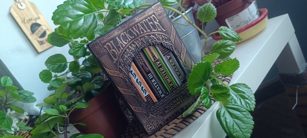 Caja edición chachi pistachi entre macetas.