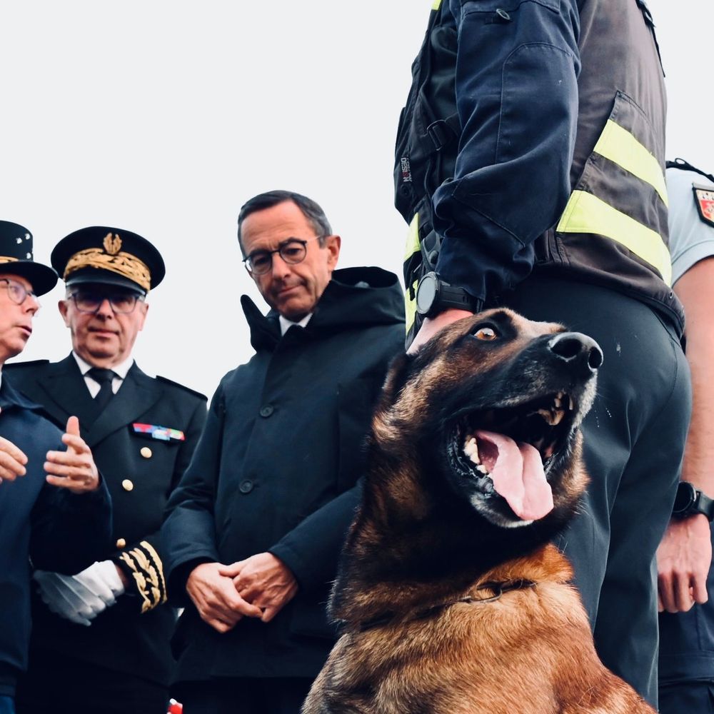 Photo partagée par Bruno Retailleau. En premier plan un berger allemand