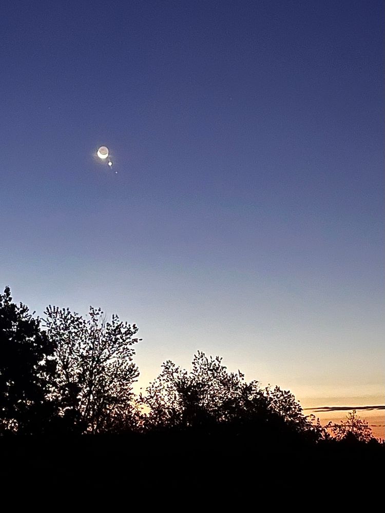 Predawn sky showing a crescent moon extremely close to a bright point of light (Venus) over a horizon of dark trees. The sky is mostly deep blue but is deep orange in the lower right. 