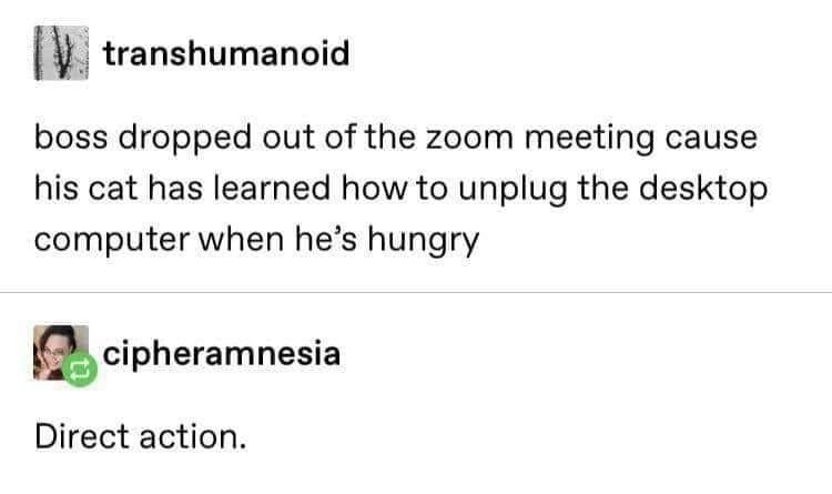 two tumblr users:
transhumanoid: "boss dropped out of the zoom meeting cause his cat has learned how to unplug the desktop computer when he's hungry"
cipheramnesia: "Direct action."