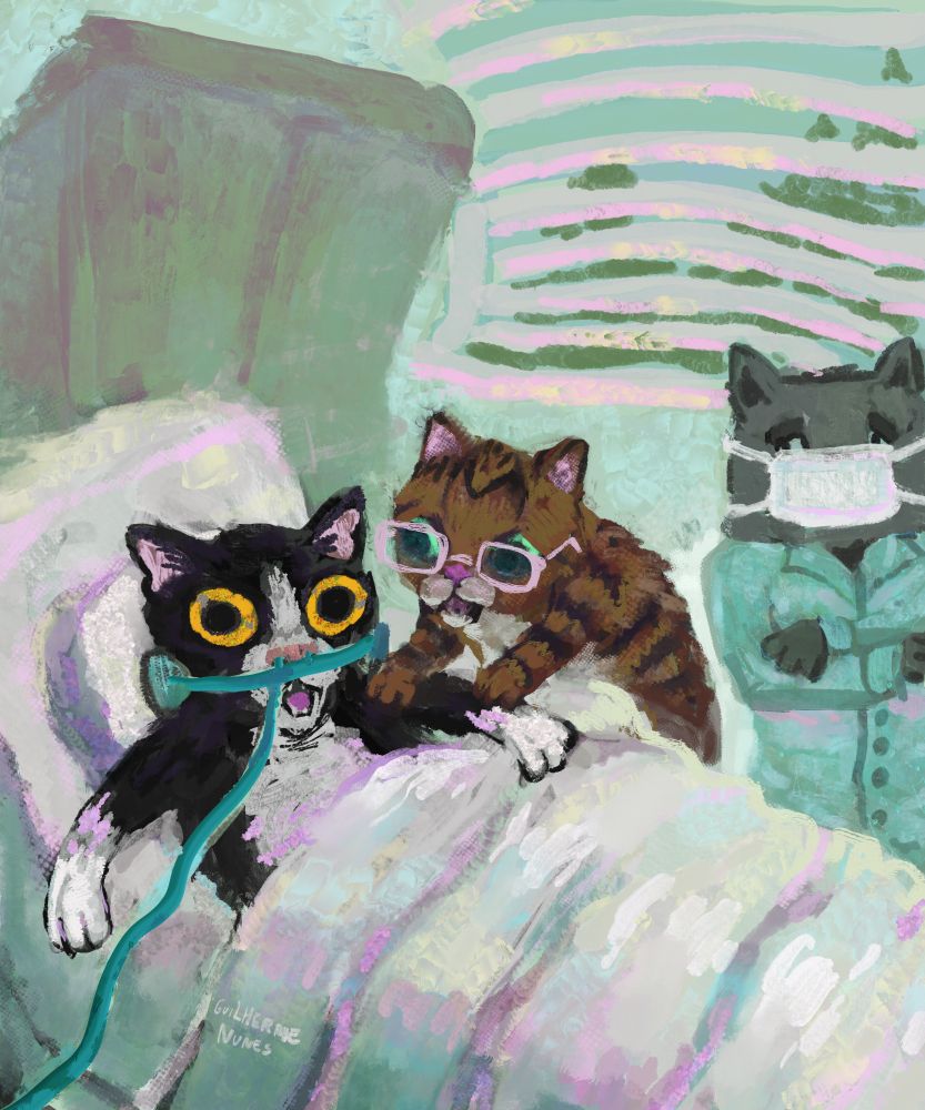 painting of a cat waking up in despair from a coma while another cat with glasses looks scared and a doctor cat looks at the scene as if he has seen this movie before