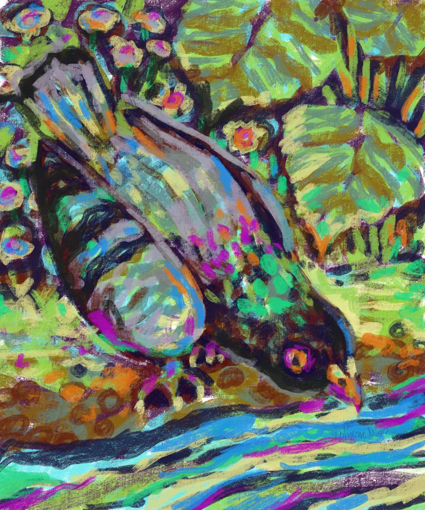 painting of a pigeon on the riverbank drinking water