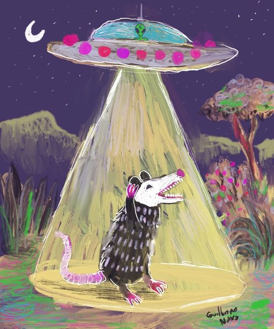 painting of a possum in the forest being abducted into a spaceship with an alien inside