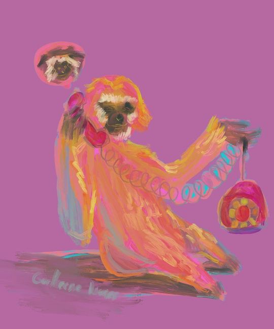 painting of a gibbon talking in an old pink telephone