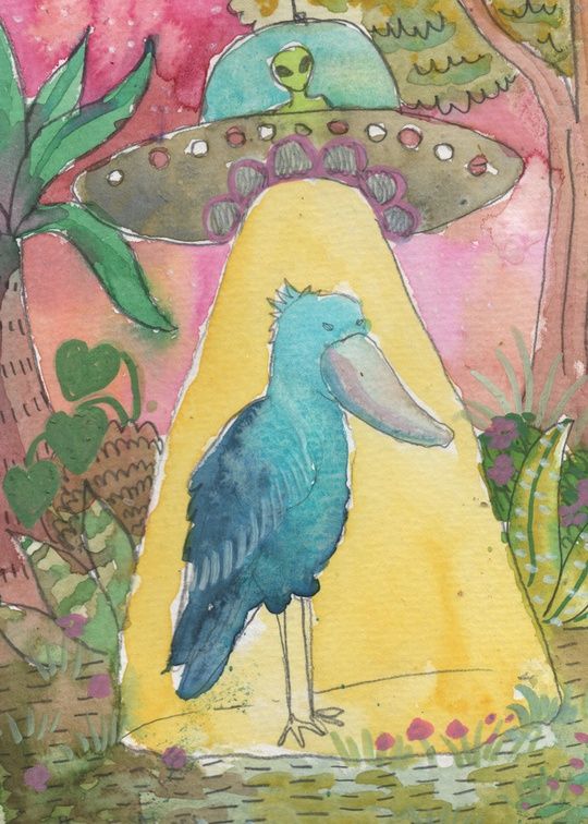 painting of a shoebill in the forest being abducted by an alien
