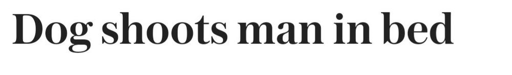 A newspaper headline that reads "Dog shoots man in bed" 