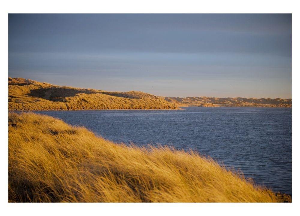 A picture of a blue waterbody bordered by hills covered in golden coloured grass. The sun has hit golden hour, making the grass even more golden than normal. The picture has a white frame around it