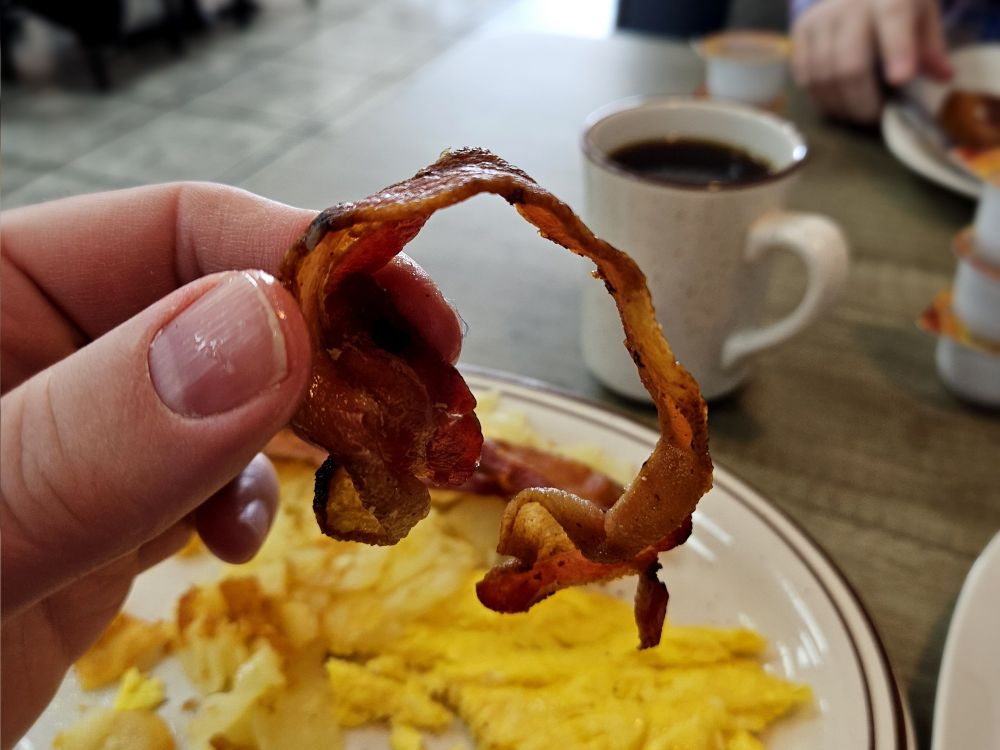 A hand holds a piece of limp, unappetizing bacon in an otherwise forgettable diner