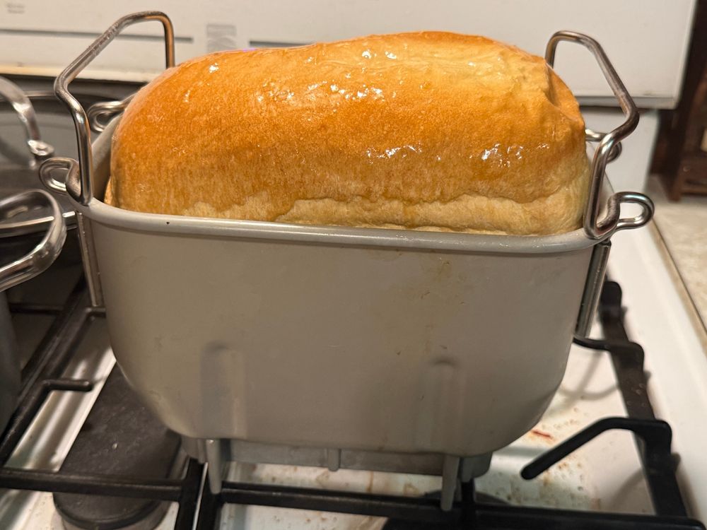 Fresh out of the breadmaker, and I brushed some butter over it while it was still hot.