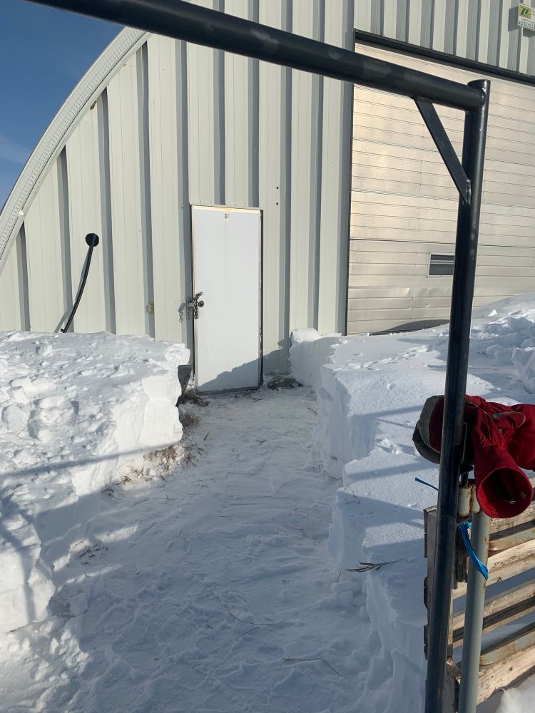 When your snowblower is in the quonset, but the quonset is buried under a snowbank 2 to 4’ deep!

It took a little over an hour for me to dig a path from the horses’ paddock gate to the quonset door.  The snow ranges from 2 to nearly 4’ deep!