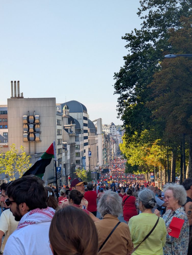 A boulevard crowded with people demonstrating against the genocide