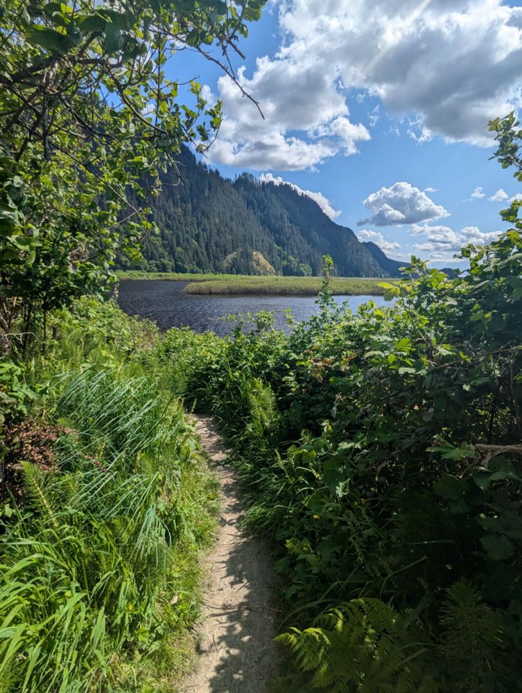 Small dirt trail shrouded in plenty of green foliage that leads to a view of the marsh, the mountains, and the daytime sky.