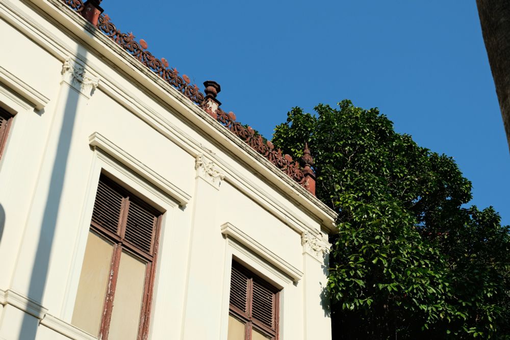 topo do palácio com detalhes terracota desenhados e uma árvore encostando nele