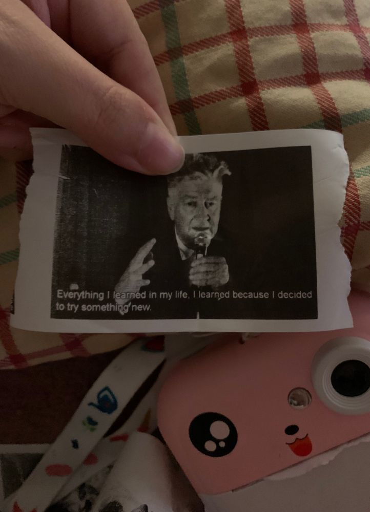 david lynch impresso na câmera térmica de gatinho