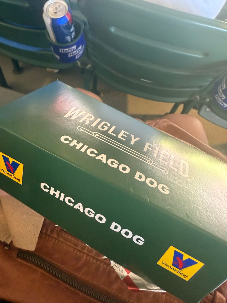 A Chicago dog