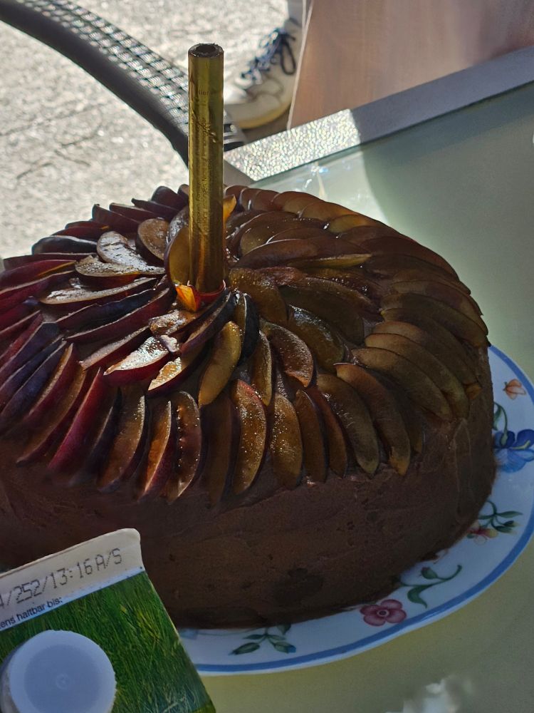 Geburtstagstorte mit Tortenfeuerwerk - schon angebrannt..., Mit Pflaumenspalten gedeckt... das Innere ein Genuss...