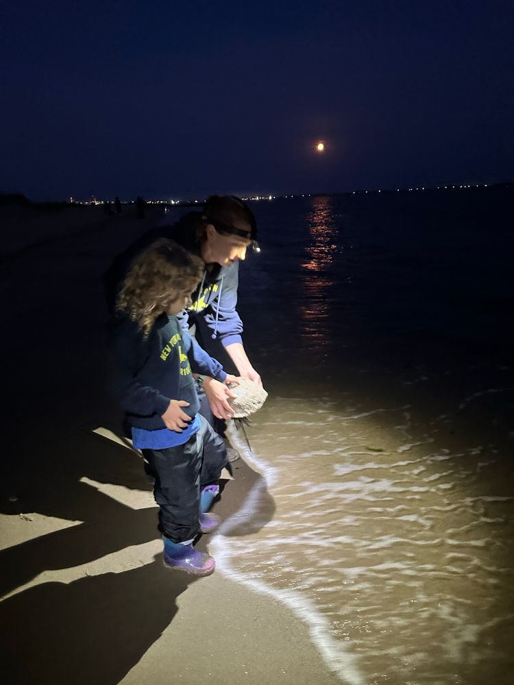Releasing a tagged crab together with my daughter