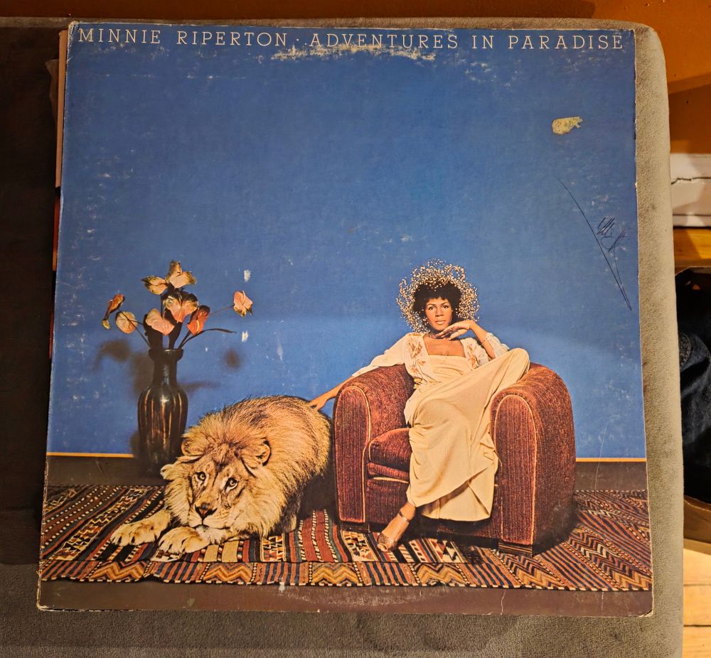 Vinyl album cover of "Adventures in Paradise" by Minnie Riperton. Against a blue background, Minnie wears a light flower arrangement and a white dress while sitting in a brown chair. A lion lays beside her right side and a large dark vase with bright flowers stands to the right of the lion. The chair and the lion are on a multicolored and multi-patterned rug.