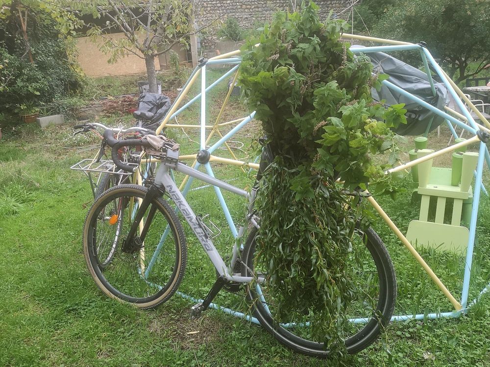 Une photo de mon vélo avec le porte-bagages bien encombré d'un paquet de plantes récupérés sur un chantier. Des rameaux de saule dégoulinent jusqu'au sol.