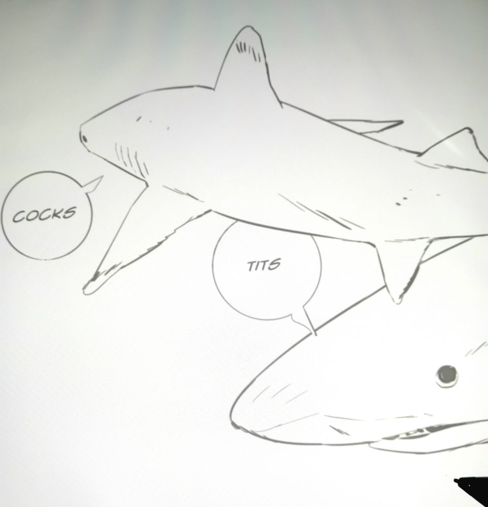 sweaty shark attack