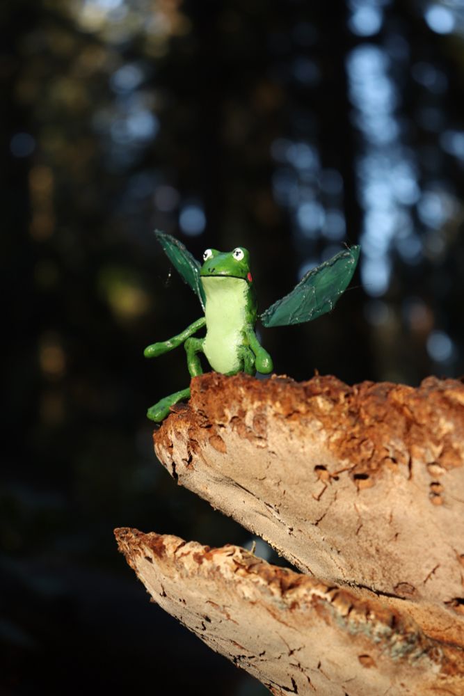 A stop-motion puppet photographed outside. The puppet is a green frog, crouching, with green fairy wings. The frog fairy is sitting on a shelf mushroom, which is very big compared to him. He is looking into the distance smugly. Behind him is an out-of-focus forest.