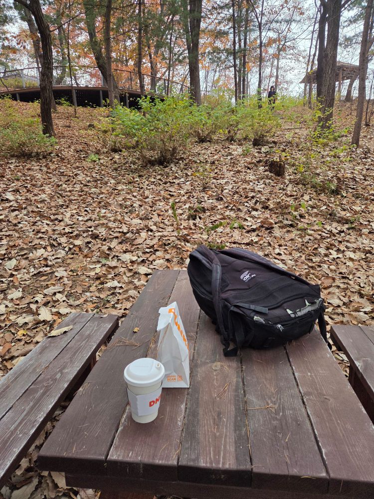Bench, donuts, backpack, forest