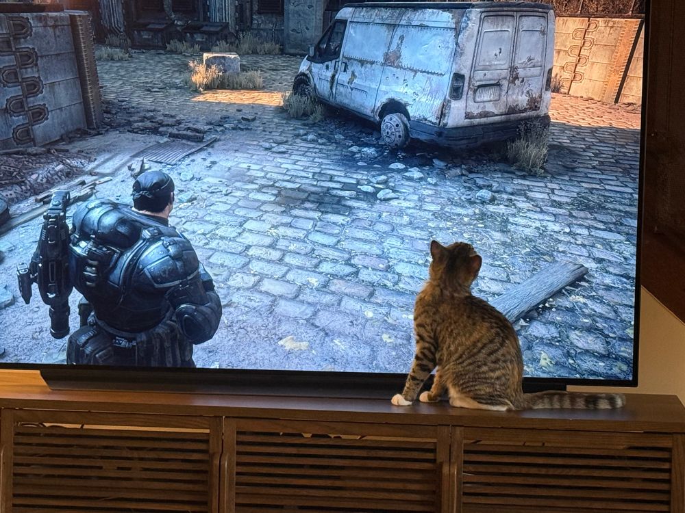 A kitten sitting on front of a tv 