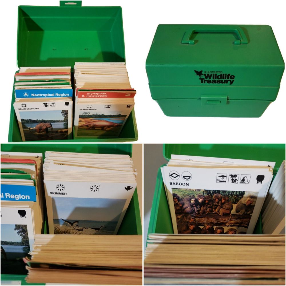 Illustrated Wildlife Treasure case and cards.