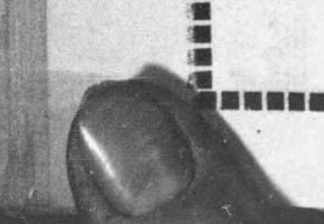 A thumb captured on microfilm.