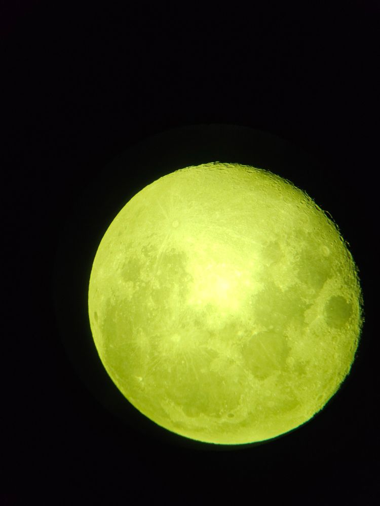 The moon through a Galaxy S24 & Celestron NexStar8SE, 16 November 2014.