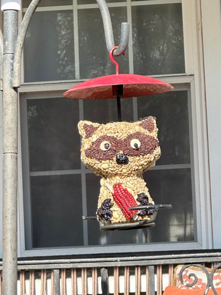 Bird seed cylinder in the shape of a raccoon, holding a portion of read ear of corn. 