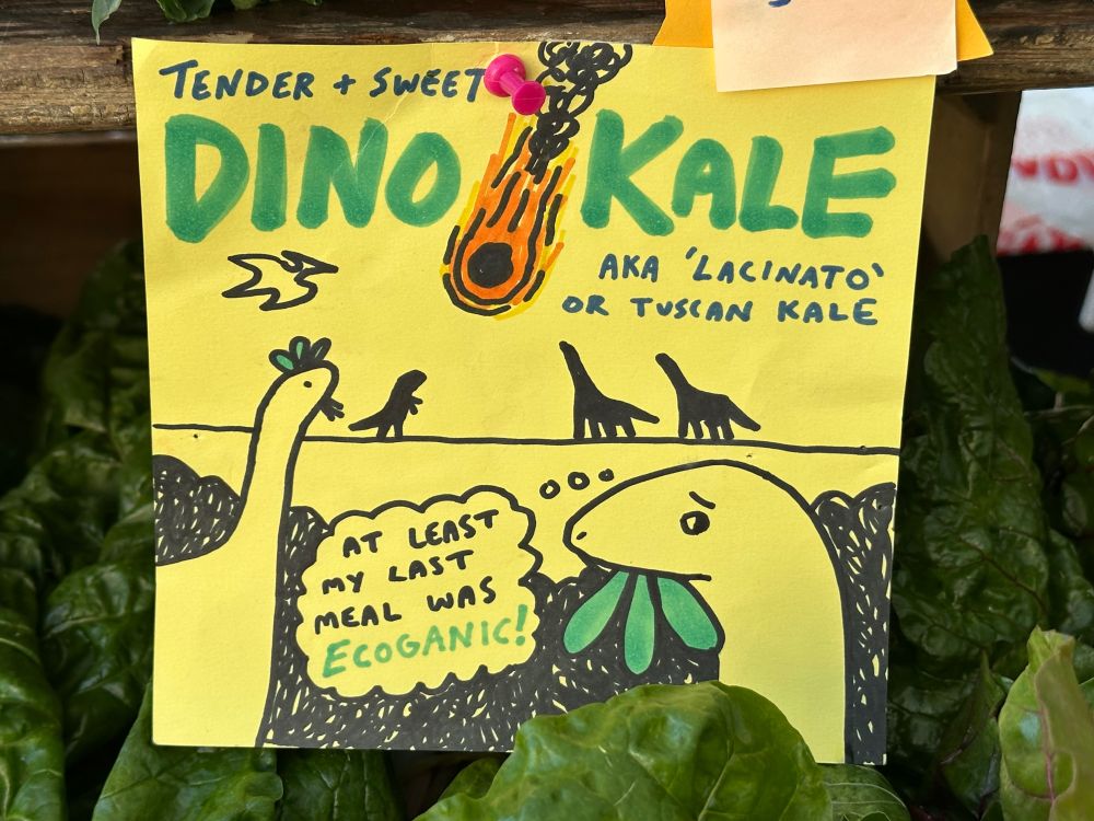 Illustration of dinosaurs eating under a market sign for “Dino Kale.” They are facing an impending comet and muse ‘at least my last meal was organic’.
