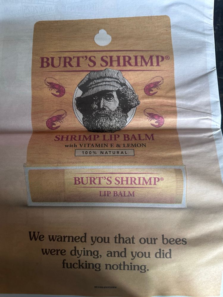 A fake ad from this month’s Onion for Burt’s Shrimp lip balm.  Caption says “we warned you that our bees were dying, and you did fucking nothing.”