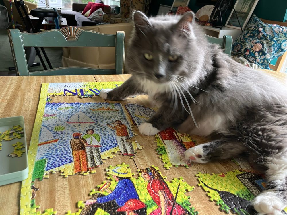Desser the big fluffy grey cat is sprawled across a half done puzzle. 