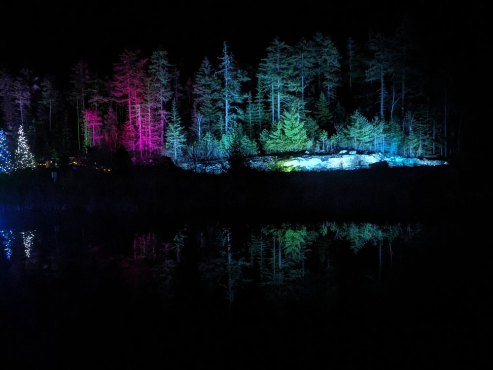 Gardens Aglow, Boothbay, 2025: gardens lit up and reflecting in the lake