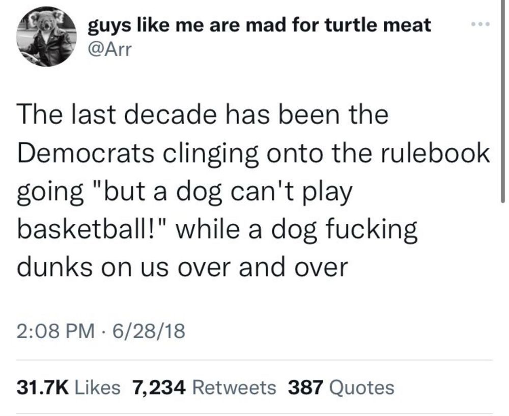 Screenshot of tweet saying "The last decade has been the Democrats clinging onto the rulebook going "but a dog can't play basketball!" while a dog fucking dunks on us over and over"