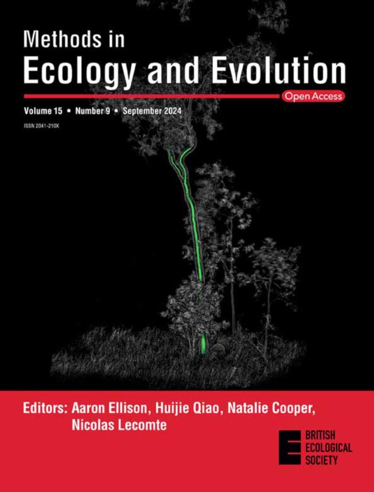 Spatio‐temporal occupancy models with INLA