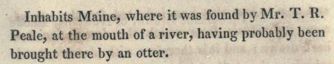 Screenshot of text that reads, "Inhabits Maine, where it was found by Mr. T. R. Peale, at the mouth of a river, having probably been brought there by an otter.