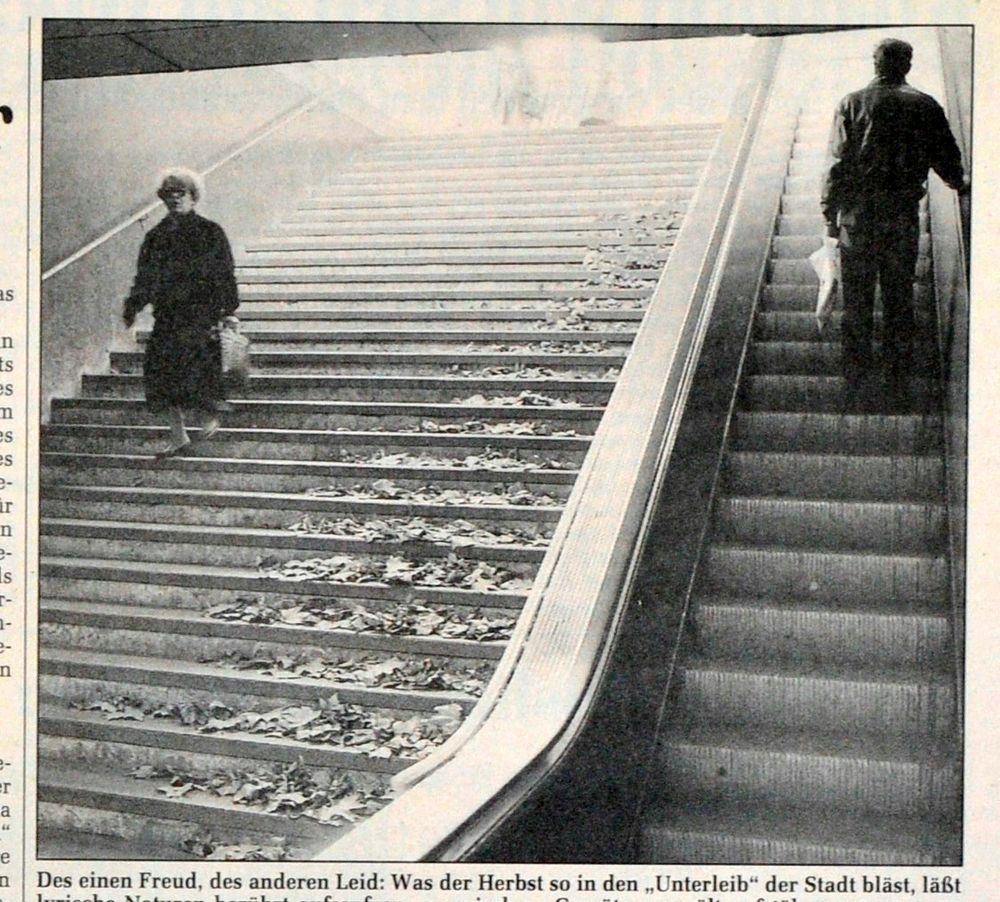 Zeitungsausschnitt mit einem quadratischen sw foto. rechts am rand eine rolltreppe mit einer gestalt die hinauf richtung tageslicht führt.im göößeren rechten teil des fotos stufen, die hinauf zum licht führen. rechts sind die stufen voller laub und links geht eine gestalt hinunter. beide tragen ein sackerl in ihrer linken hand.