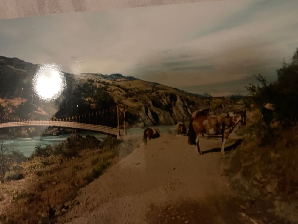 Photo of a glossy photo of a bridge somewhere in Chile. 
A simple crossing over a glacial river is seen in the middle ground to the left of frame. Pack horses stand on a dusty trail in the centre of the shot. A quite pause whilst contemplating the month ahead. 