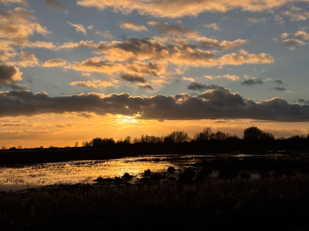 Low sun over the Cambridgeshire fens 